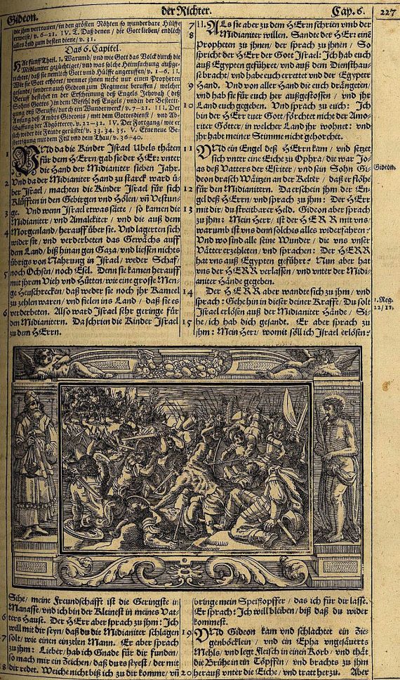   - Biblia germanica. Nürnberg 1656.