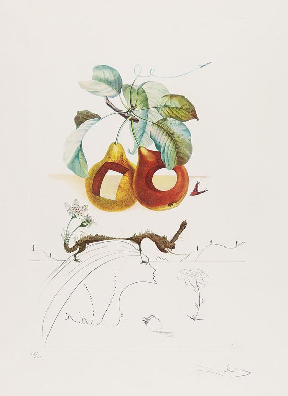 Salvador Dalí - Fruits troués
