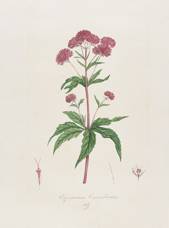 Franz von Paula Schrank - Flora Monacensis. 3 Bde. 1814-18