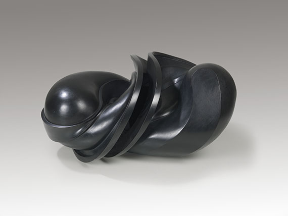 Tony Cragg - Knot (Early Forms)