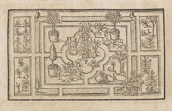 Andreas de La Croyx - Deliciae & Arcana Florum ... Edles Kleinod. 1707.