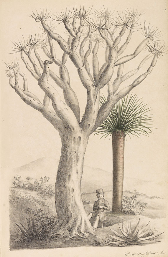 Th. Fr. L. Nees von Esenbeck - Plantae officinales. Text und 2 Tafelbde. 1821-28