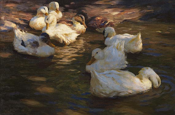 Alexander Koester - 9 Enten im Abendlicht