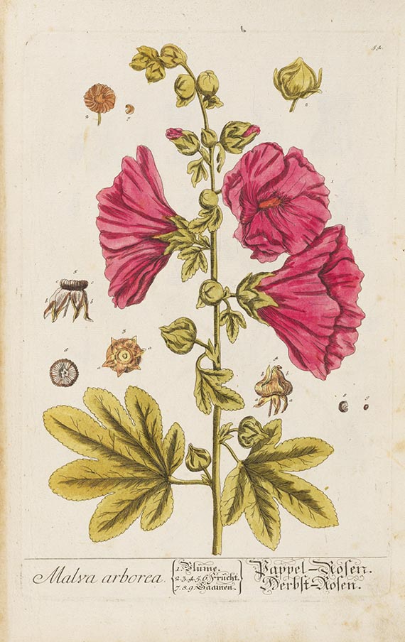 Elisabeth Blackwell - Herbarium Blackwellianum emendatum et auctum
