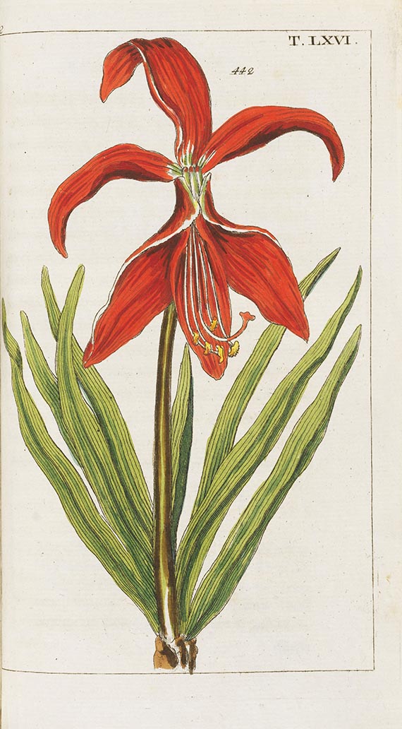 Gottlieb Tobias Wilhelm - Unterhaltungen aus der Naturgeschichte (Pflanzenreich). Dabei: 2 Bde. (Vögel)