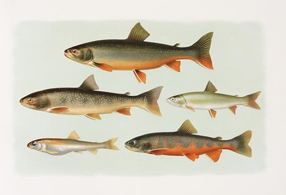 Carl Vogt - Die Süsswasserfische von Mittel-Europa. Atlasband