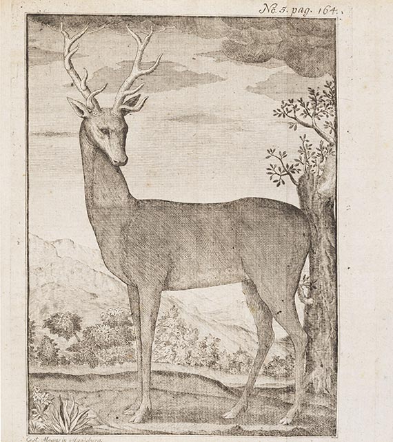  Le Verrier de la Conterie - Normännischer Jäger oder die neuste Jagdschule