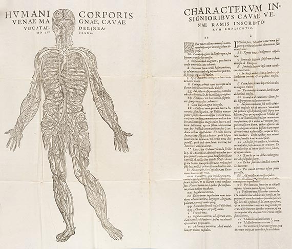 Taddeo Duno - Nova constitutio artis revellendi