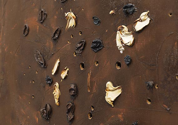 Lucio Fontana - Concetto Spaziale - Weitere Abbildung