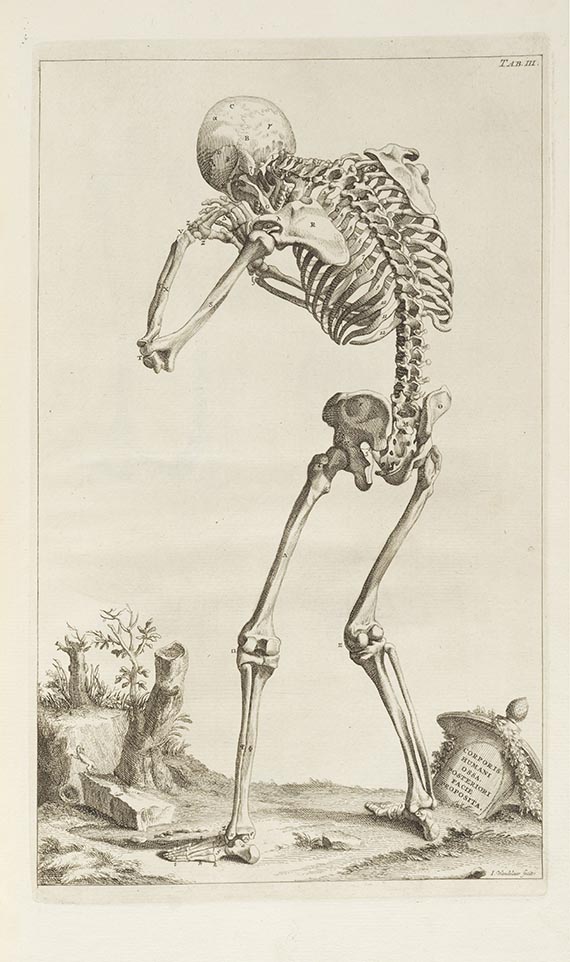Andreas Vesalius - Tabulae ossium humanorum