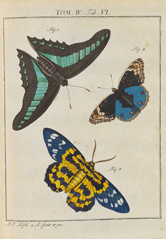 August Johann Rösel von Rosenhof - Der monatlich-herausgegebenen Insecten-Belustigung