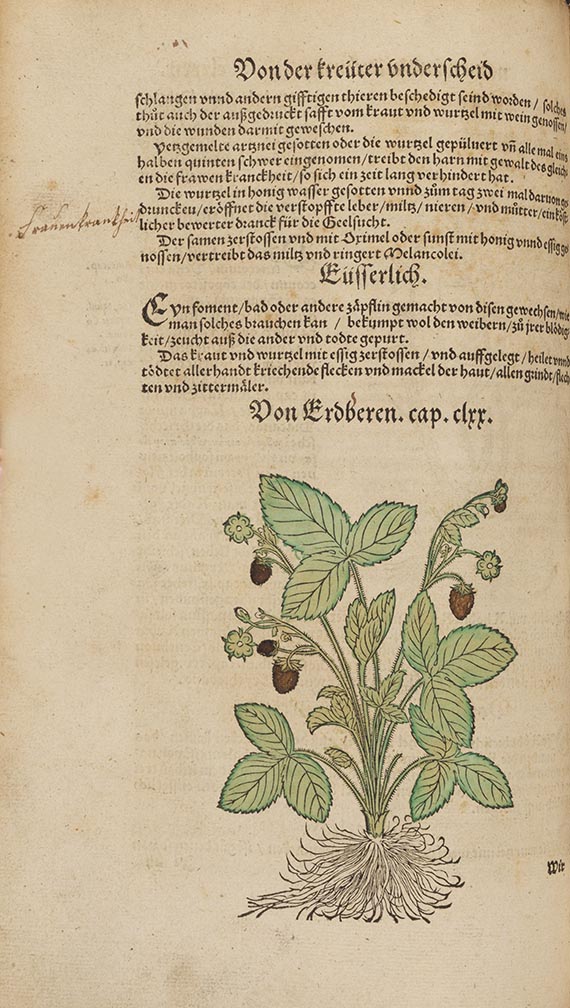 Hieronymus Bock - Kreuter Buch