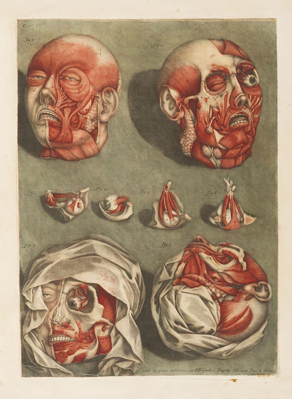 Arnauld-Eloi Gautier d'Agoty - Cours complet d'anatomie